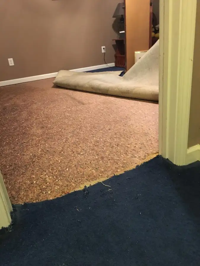 Carpet pad removal revealing water damage during Water Mitigation Services in Maurice River